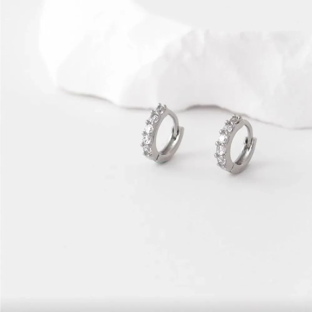 Hoop earrings Q776
